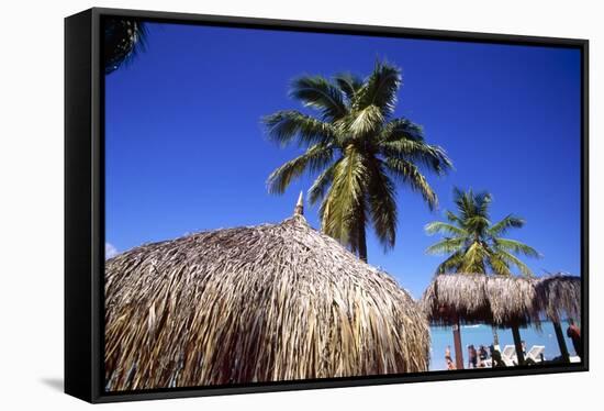 Palm Trees and Palapa Umbrellas Palm Beach Aruba-George Oze-Framed Stretched Canvas