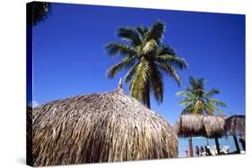 Palm Trees and Palapa Umbrellas Palm Beach Aruba-George Oze-Stretched Canvas