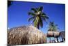 Palm Trees and Palapa Umbrellas Palm Beach Aruba-George Oze-Mounted Photographic Print