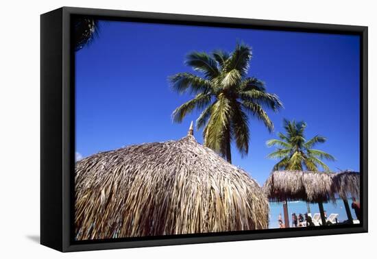 Palm Trees and Palapa Umbrellas Palm Beach Aruba-George Oze-Framed Stretched Canvas