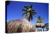 Palm Trees and Palapa Umbrellas Palm Beach Aruba-George Oze-Stretched Canvas