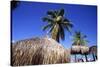 Palm Trees and Palapa Umbrellas Palm Beach Aruba-George Oze-Stretched Canvas