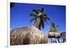 Palm Trees and Palapa Umbrellas Palm Beach Aruba-George Oze-Framed Photographic Print