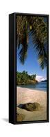 Palm Trees and Rocks on a Small Secluded Beach on North Island, Seychelles-null-Framed Stretched Canvas