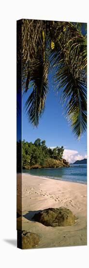 Palm Trees and Rocks on a Small Secluded Beach on North Island, Seychelles-null-Stretched Canvas