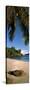 Palm Trees and Rocks on a Small Secluded Beach on North Island, Seychelles-null-Stretched Canvas