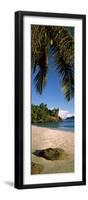 Palm Trees and Rocks on a Small Secluded Beach on North Island, Seychelles-null-Framed Photographic Print