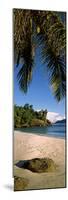 Palm Trees and Rocks on a Small Secluded Beach on North Island, Seychelles-null-Mounted Photographic Print