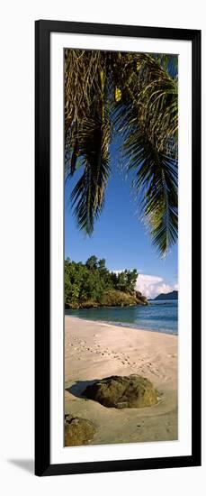 Palm Trees and Rocks on a Small Secluded Beach on North Island, Seychelles-null-Framed Photographic Print