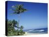 Palm Trees and Sand at Ha'ena Beach, Kauai, Hawaii, USA-Merrill Images-Stretched Canvas