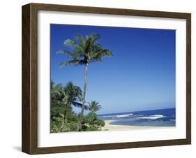 Palm Trees and Sand at Ha'ena Beach, Kauai, Hawaii, USA-Merrill Images-Framed Premium Photographic Print