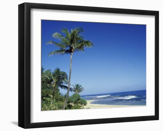 Palm Trees and Sand at Ha'ena Beach, Kauai, Hawaii, USA-Merrill Images-Framed Premium Photographic Print