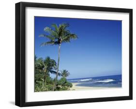 Palm Trees and Sand at Ha'ena Beach, Kauai, Hawaii, USA-Merrill Images-Framed Premium Photographic Print