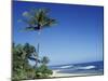 Palm Trees and Sand at Ha'ena Beach, Kauai, Hawaii, USA-Merrill Images-Mounted Premium Photographic Print