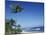 Palm Trees and Sand at Ha'ena Beach, Kauai, Hawaii, USA-Merrill Images-Mounted Premium Photographic Print