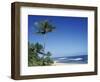 Palm Trees and Sand at Ha'ena Beach, Kauai, Hawaii, USA-Merrill Images-Framed Photographic Print