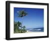 Palm Trees and Sand at Ha'ena Beach, Kauai, Hawaii, USA-Merrill Images-Framed Photographic Print