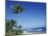 Palm Trees and Sand at Ha'ena Beach, Kauai, Hawaii, USA-Merrill Images-Mounted Photographic Print