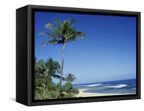 Palm Trees and Sand at Ha'ena Beach, Kauai, Hawaii, USA-Merrill Images-Framed Stretched Canvas