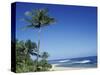 Palm Trees and Sand at Ha'ena Beach, Kauai, Hawaii, USA-Merrill Images-Stretched Canvas