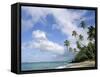 Palm Trees and Sea, Lalomanu Beach, Upolu Island, Western Samoa-Upperhall-Framed Stretched Canvas