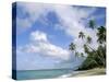 Palm Trees and Sea, Lalomanu Beach, Upolu Island, Western Samoa-Upperhall-Stretched Canvas
