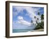 Palm Trees and Sea, Lalomanu Beach, Upolu Island, Western Samoa-Upperhall-Framed Photographic Print