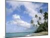 Palm Trees and Sea, Lalomanu Beach, Upolu Island, Western Samoa-Upperhall-Mounted Photographic Print