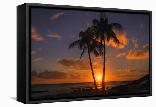 Palm Trees and Setting Sun, Kauai Hawaii-Vincent James-Framed Stretched Canvas