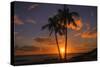 Palm Trees and Setting Sun, Kauai Hawaii-Vincent James-Stretched Canvas