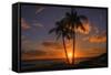 Palm Trees and Setting Sun, Kauai Hawaii-Vincent James-Framed Stretched Canvas