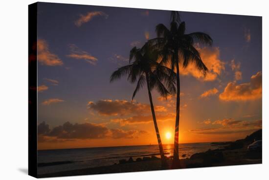 Palm Trees and Setting Sun, Kauai Hawaii-Vincent James-Stretched Canvas