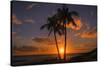 Palm Trees and Setting Sun, Kauai Hawaii-Vincent James-Stretched Canvas