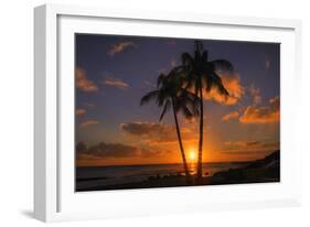 Palm Trees and Setting Sun, Kauai Hawaii-Vincent James-Framed Premium Photographic Print