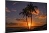 Palm Trees and Setting Sun, Kauai Hawaii-Vincent James-Mounted Premium Photographic Print