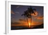 Palm Trees and Setting Sun, Kauai Hawaii-Vincent James-Framed Photographic Print