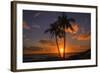 Palm Trees and Setting Sun, Kauai Hawaii-Vincent James-Framed Photographic Print