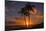 Palm Trees and Setting Sun, Kauai Hawaii-Vincent James-Mounted Photographic Print