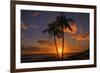 Palm Trees and Setting Sun, Kauai Hawaii-Vincent James-Framed Photographic Print