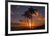 Palm Trees and Setting Sun, Kauai Hawaii-Vincent James-Framed Photographic Print