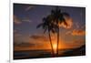 Palm Trees and Setting Sun, Kauai Hawaii-Vincent James-Framed Photographic Print