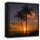 Palm Trees and Setting Sun (Square), Kauai Hawaii-Vincent James-Framed Stretched Canvas