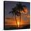 Palm Trees and Setting Sun (Square), Kauai Hawaii-Vincent James-Stretched Canvas