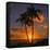 Palm Trees and Setting Sun (Square), Kauai Hawaii-Vincent James-Framed Stretched Canvas