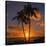 Palm Trees and Setting Sun (Square), Kauai Hawaii-Vincent James-Stretched Canvas