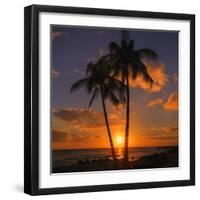 Palm Trees and Setting Sun (Square), Kauai Hawaii-Vincent James-Framed Premium Photographic Print