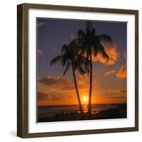 Palm Trees and Setting Sun (Square), Kauai Hawaii-Vincent James-Framed Photographic Print