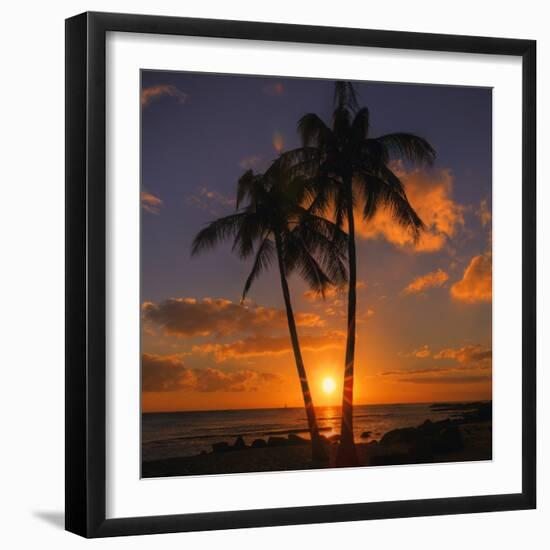Palm Trees and Setting Sun (Square), Kauai Hawaii-Vincent James-Framed Photographic Print