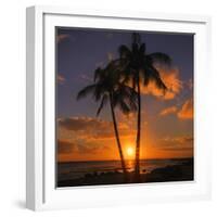 Palm Trees and Setting Sun (Square), Kauai Hawaii-Vincent James-Framed Photographic Print