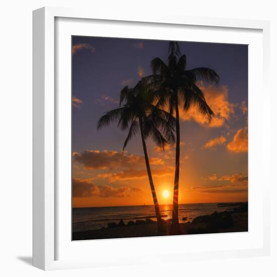 Palm Trees and Setting Sun (Square), Kauai Hawaii-Vincent James-Framed Photographic Print